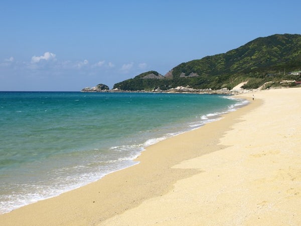 ■【大阪6/19発限定】屋久島を1泊2日で走る!ランニングジャーニー参加に最適ツアーTheHotelYakushima 2泊 計4日間(航空機)便チョイス2